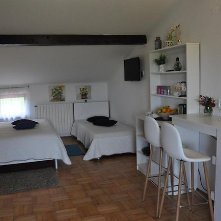 Guest House Most Buzet Buitenkant foto