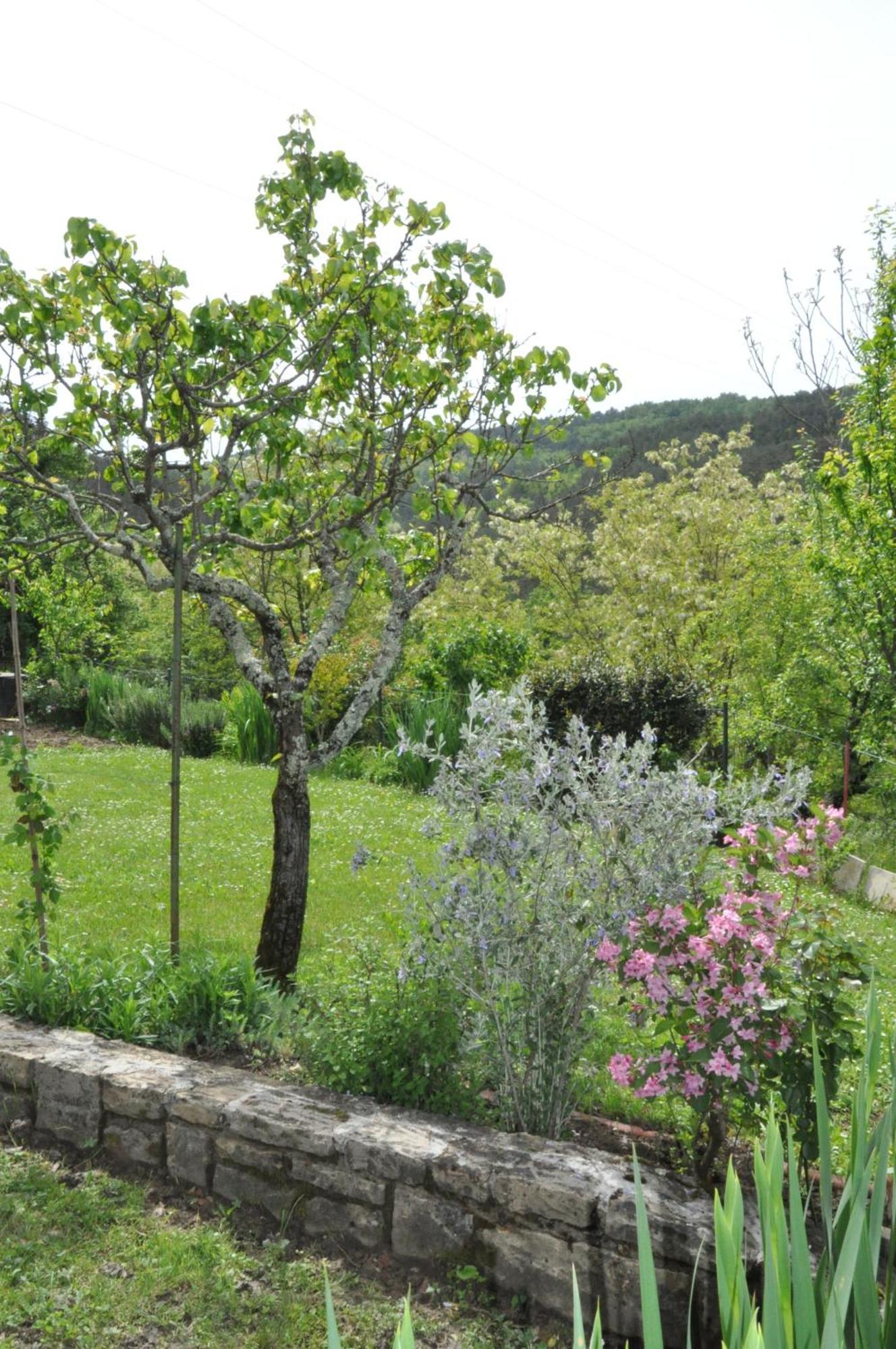 Guest House Most Buzet Buitenkant foto