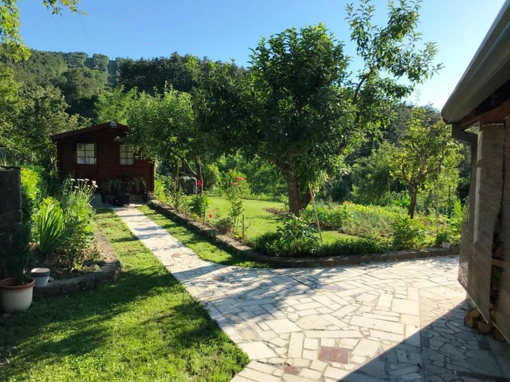 Guest House Most Buzet Buitenkant foto
